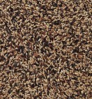 Delinature58 sijsjes en distelvinken supreme 0